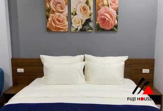 Explore Apartments on Hoang Hoa Tham Street for Japanese Tenants