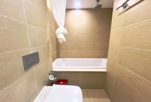 Apartment for rent in Vinhomes Metropolis