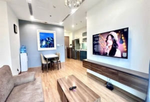 Exclusive 2-Bedroom Rentals in Vinhomes Metropolis
