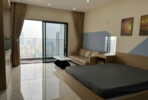 D'Capitale 1-Bedroom Apartment for Rent – $550/month, Available Now for Expats