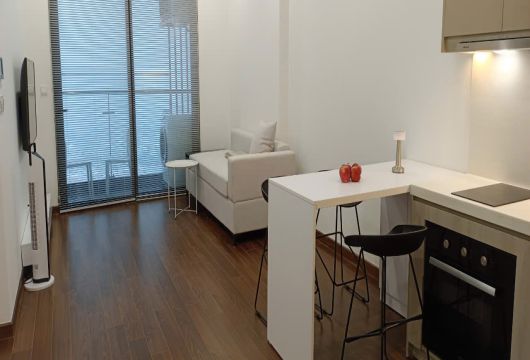 ハノイ賃貸アパート｜ナム・トゥリムエリアの1寝室｜48㎡・月額600USD