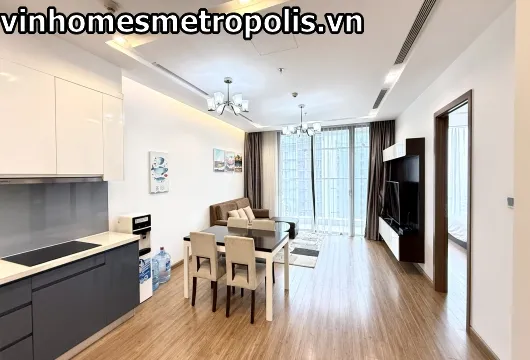 Vinhomes Metropolis Apartment for Rent | 1 Bedroom 55sqm $1500