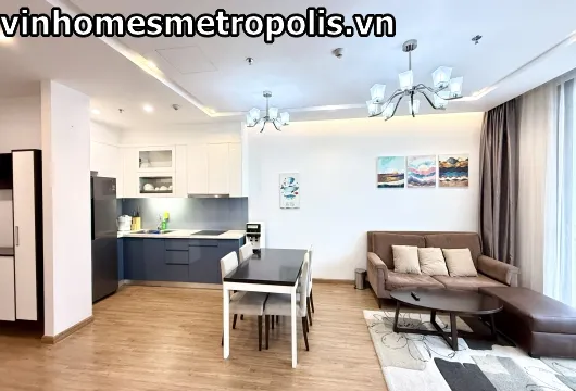 Vinhomes Metropolis Apartment for Rent | 1 Bedroom 55sqm $1500