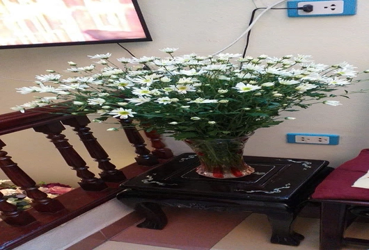 Apartment for Rent in Hanoi at Ciputra 3 Bedrooms 114m2