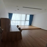Spacious 3BR Hanoi Apartment in Vinhomes Skylake