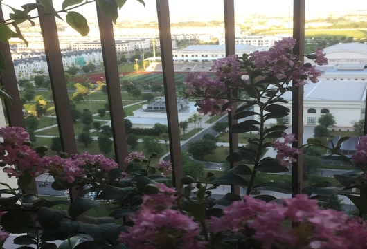 Affordable 2BR apartment for rent in Vinhomes Ocean Park