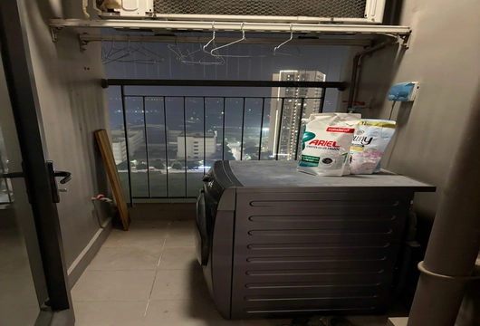 Ready 2BR apartment for rent in Vinhomes Ocean Park