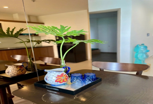 Fully Furnished 2-Bedroom Apartment at Vinhomes Ocean Park – $500/Month