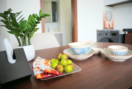 Studio Apartment for Rent on Trinh Cong Son Street, Tay Ho – Lake View, $770/Month
